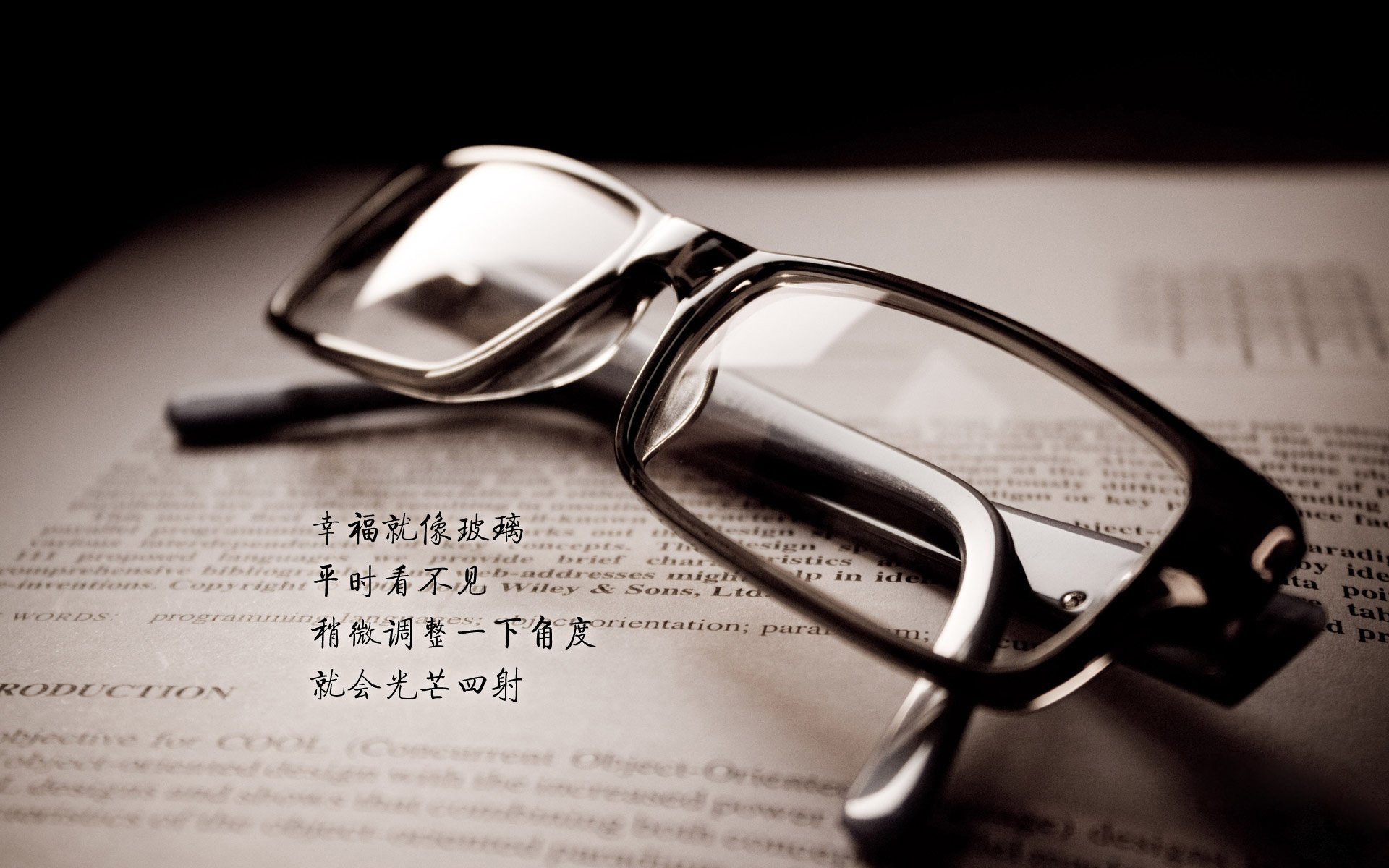 荷兰马术协会成功举办全国马术锦标赛,吸引众多观众。,荷兰 马术