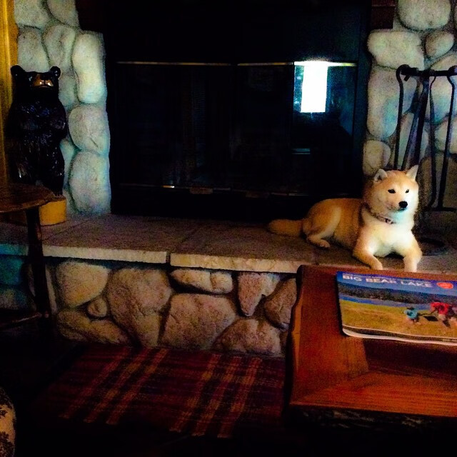 逆转精彩瞬间:WRC历史上最震撼的逆袭案例,世界十大逆转比赛