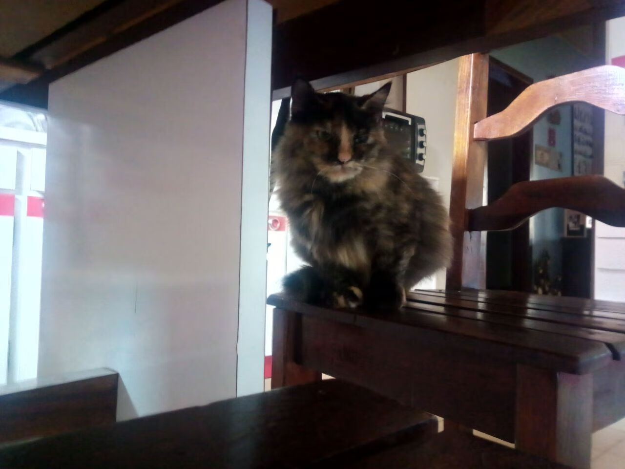 C9赛季不败纪录终结,c9季中赛