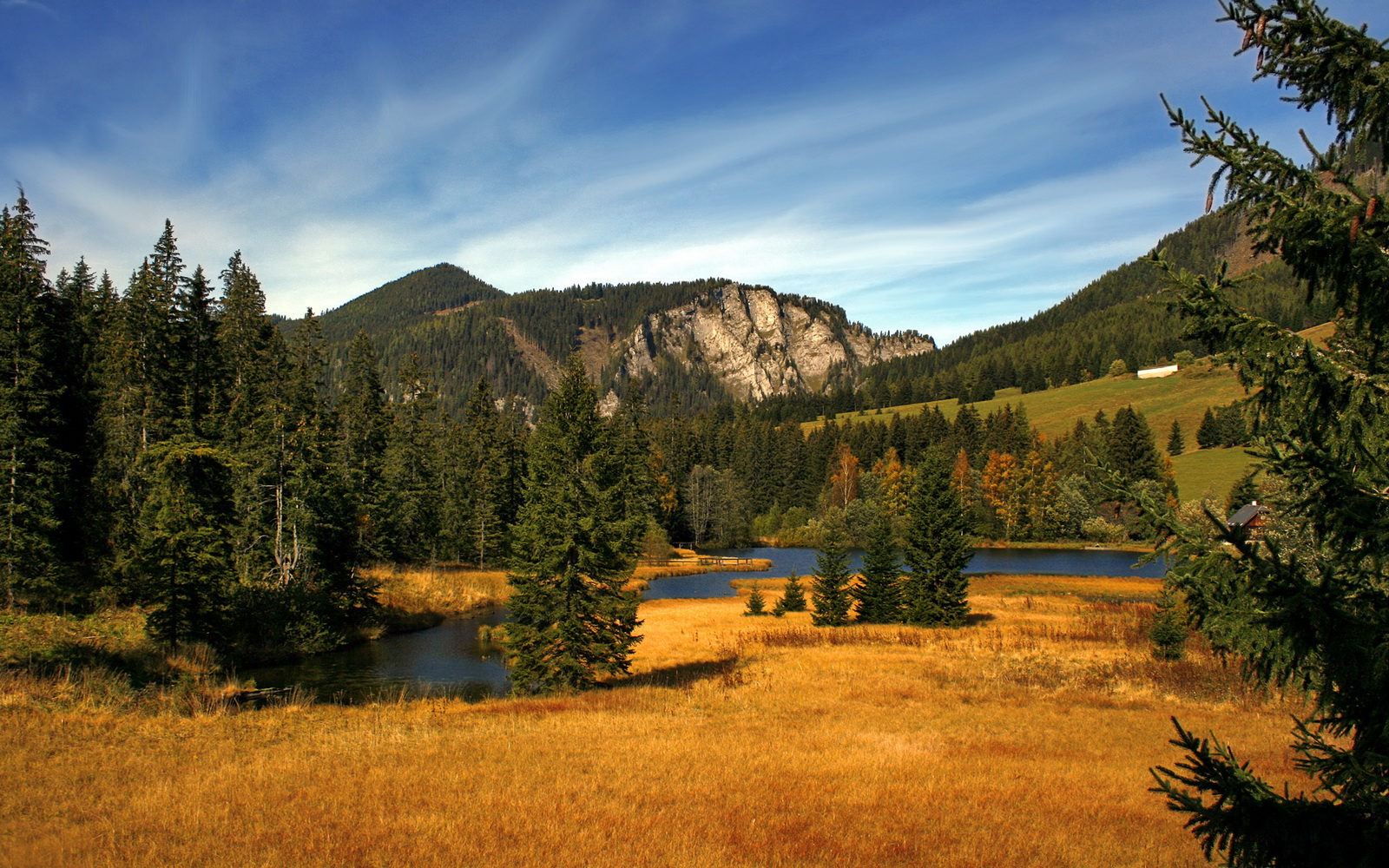冰岛国家队备战备受期待,欧锦赛冲刺全力,冰岛足球队欧洲杯