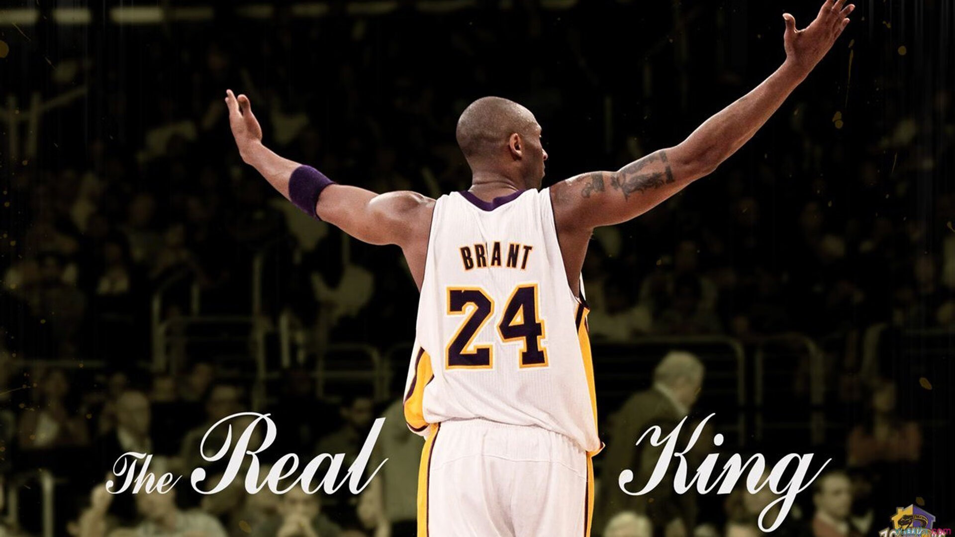 随机姚明当选篮协主席，致力推动篮球发展