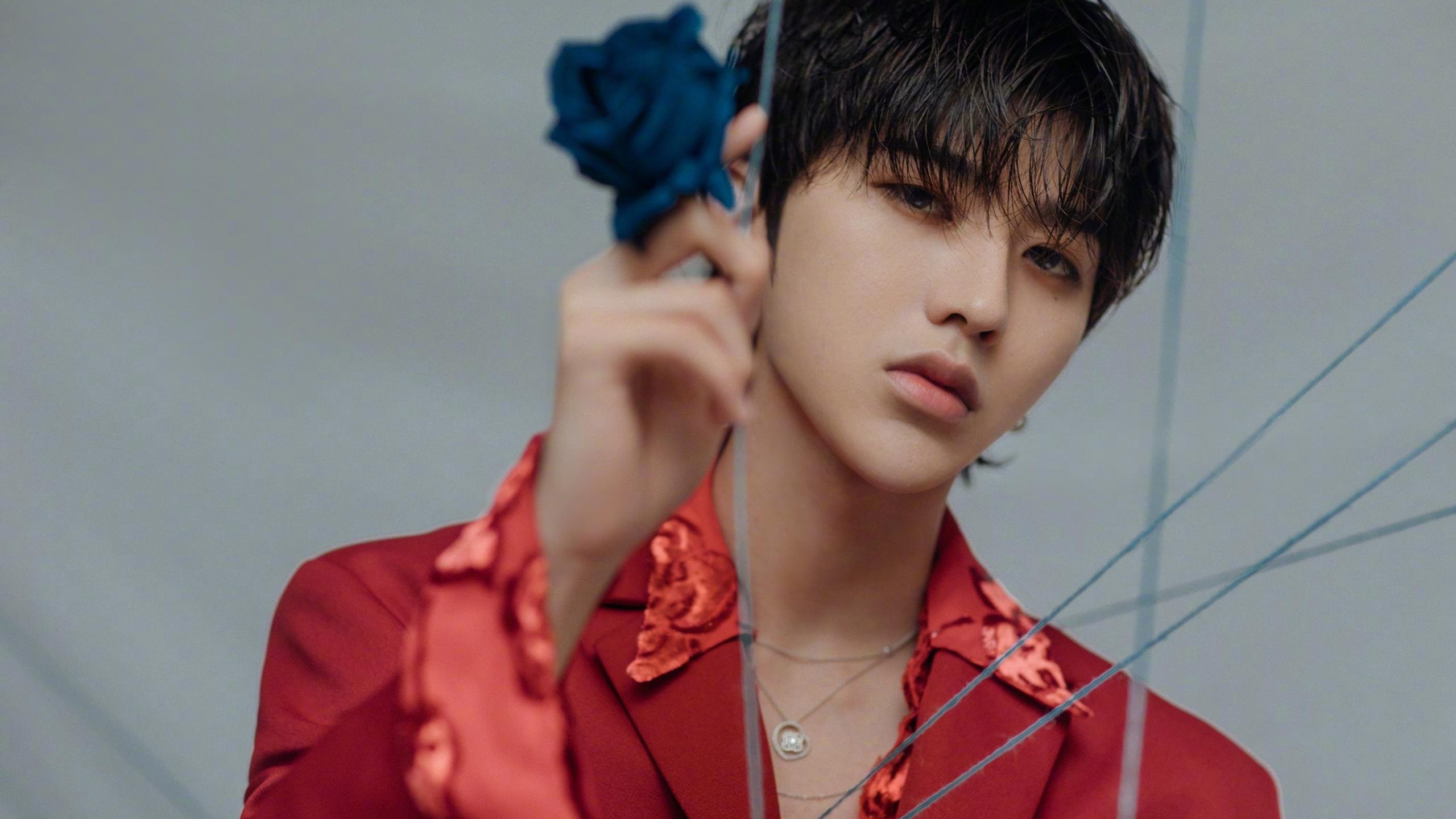 法国足球职业联赛竞争备受关注,全力备战,法国足球联赛体系