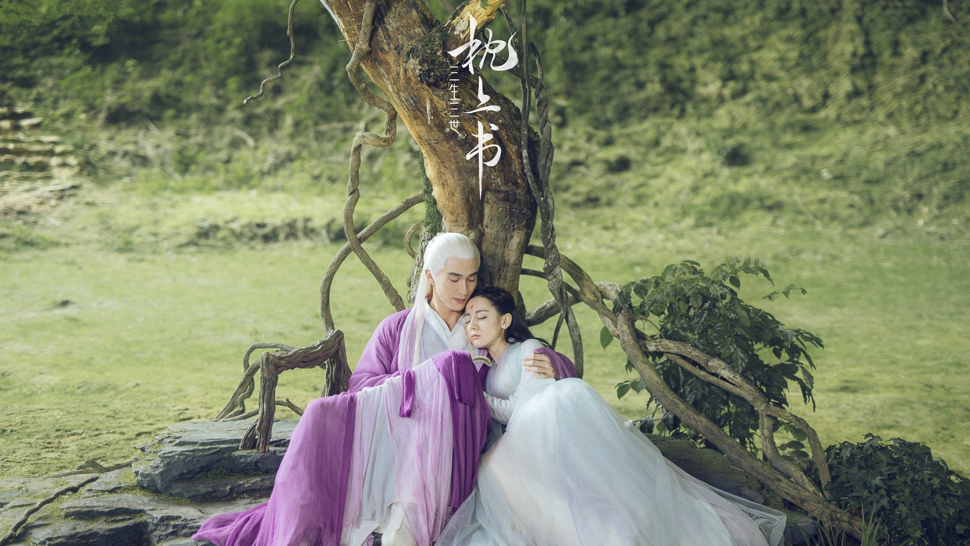 中国篮球俱乐部品牌建设实践探讨,篮球俱乐部企业概况