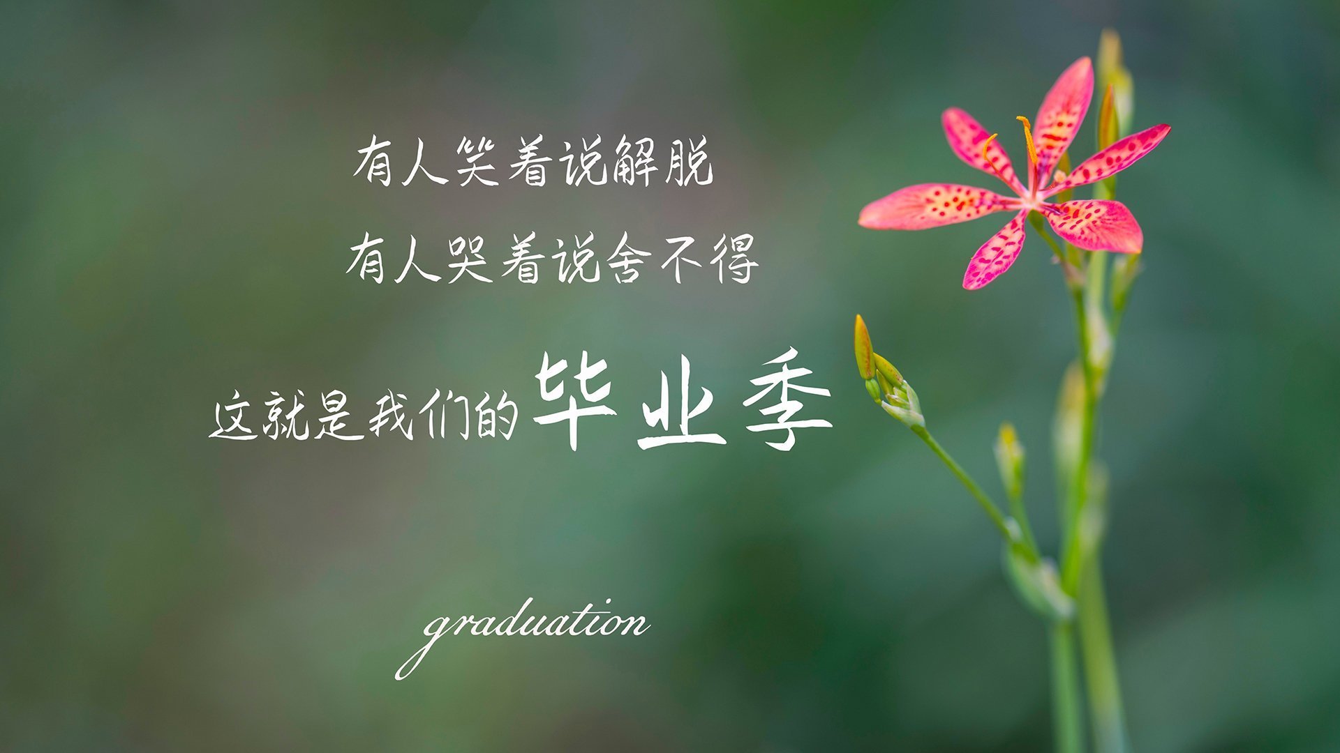 “2025世界运动会:运动舞蹈赛场,金牛区城北体育馆的舞者将如何舞出精彩?”