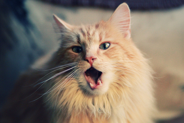 世运坚持“无新建”原则,场馆绿色升级完成