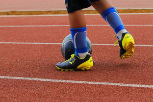 爱游戏中国官方网站平台-明星球员带动体育产业发展，打造体育明星的弊端