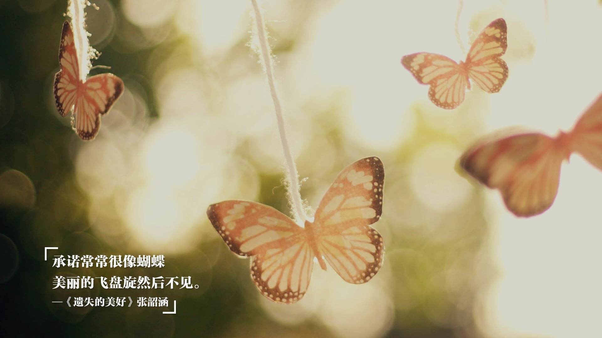 明星运动员社会影响力持续扩大,明星运动员社会影响力持续扩大吗