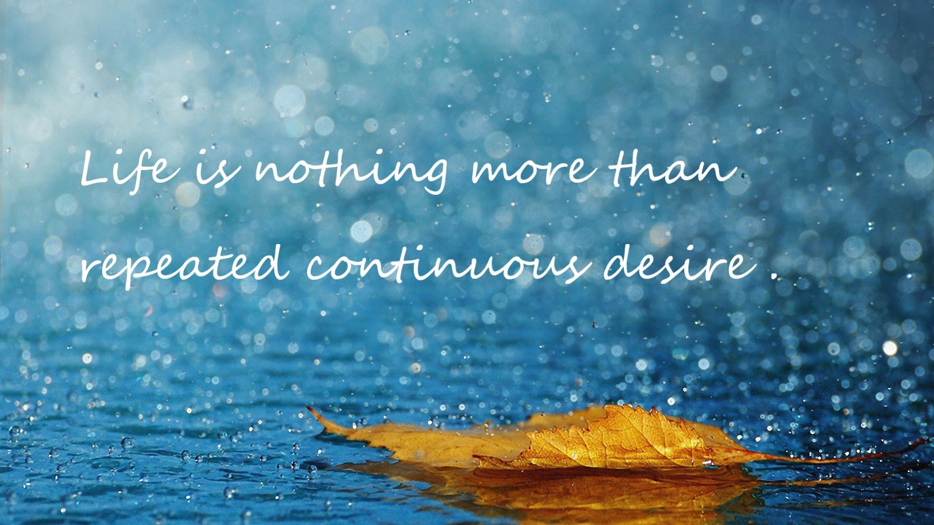 高水平对抗促进球员成长CBA整体水平稳步提升,高水平队是什么