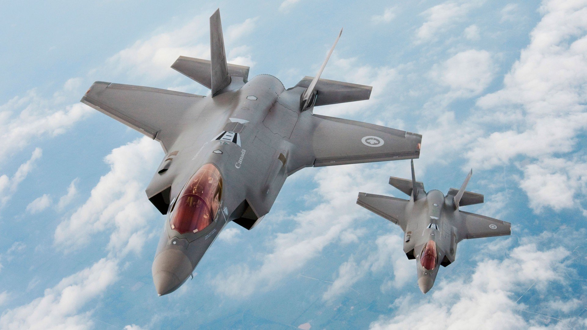 “美洲狮队凭借团队合作晋级橄榄球冠军锦标赛四强”