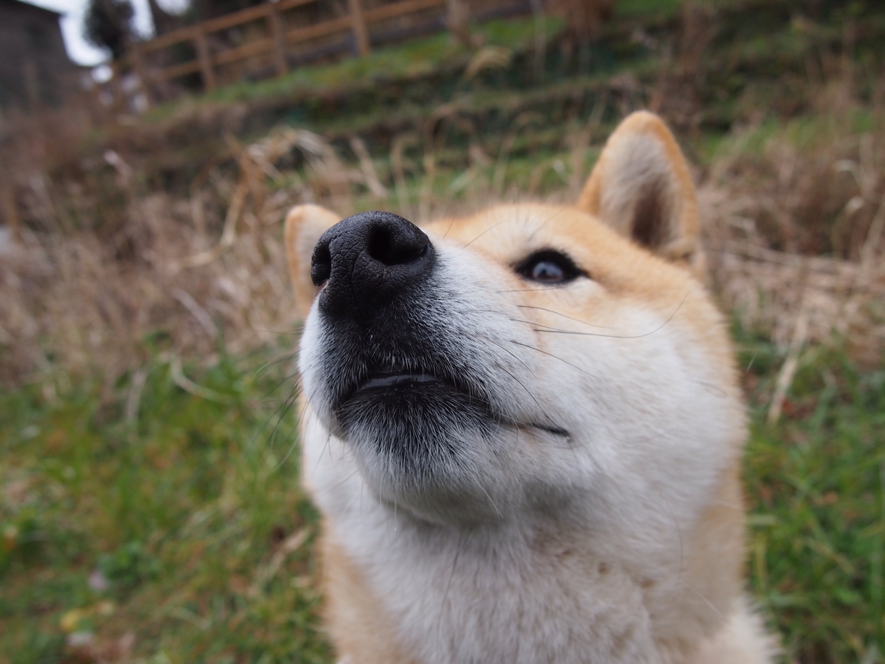 乔治强调防守站位对胜利同样重要,乔治防守怎么样