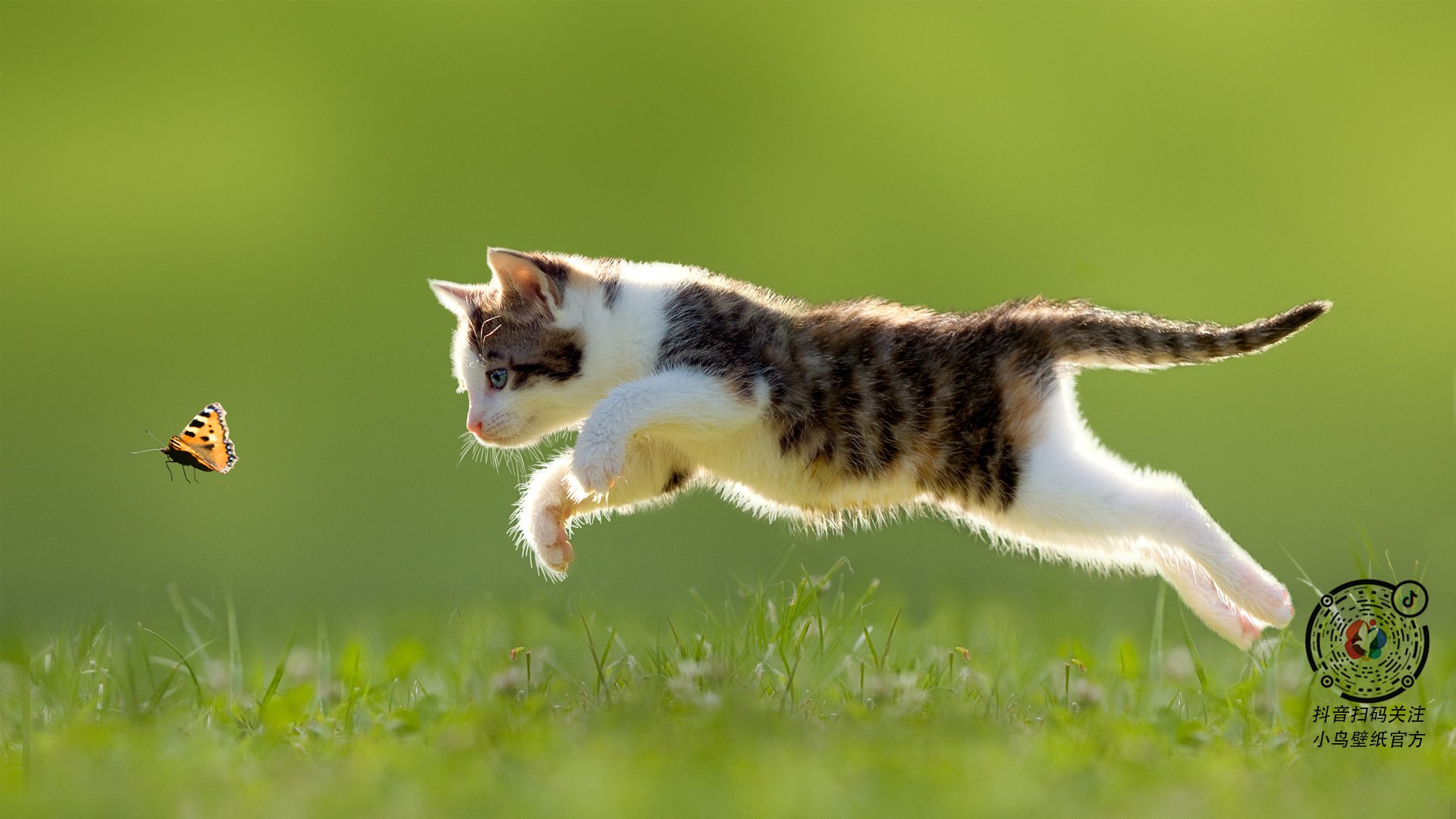 体育新闻中心关键战役解读,体育新闻 新闻