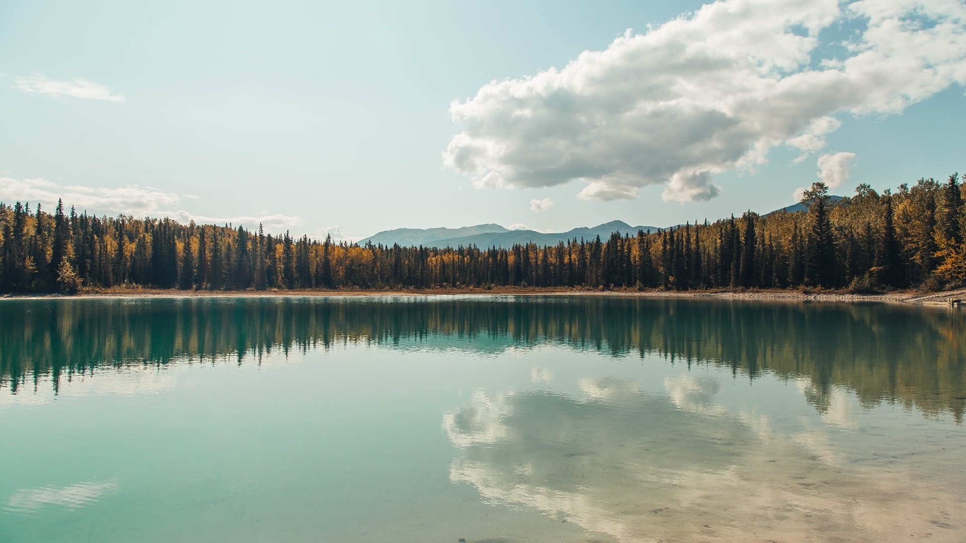 AYXSPORTSAPP-美洲杯明星奋战：突破防线，激情飞扬！，美洲杯选手