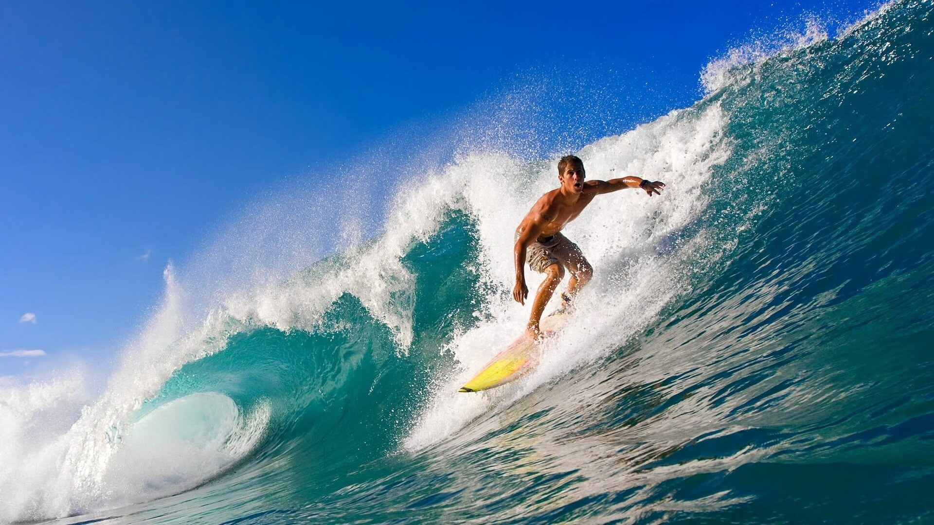 战术大师：当代最有交易眼光的教练剖析，战术大师是谁